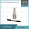 DLLA160P2176 Bosch Injector Nozzle-F3.5 Series for Common Rail Injectors 0 445110617
