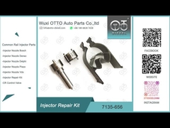 کیت تعمیر انژکتور دلفی 7135-656 برای R00504Z با نازل L135PBD