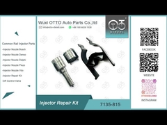 7135-815 کیت تعمیر تزریق کننده دلفی