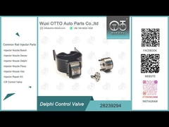 28239294 دریچه کنترل انژکتور دلفی برای انژکتورهای دلفی EJBR02401Z/02901D و غیره