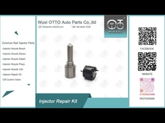 کیت تعمیر تزریق کننده دلفی 7135-816 کیت نوزل-والو
