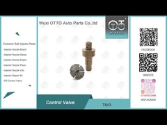 T643 شیر کنترل ریل مشترک اعمال شده 0445110819/818/939