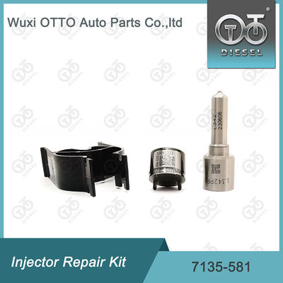 کیت تعمیر تزریق کننده  7135-581 برای R00101D PSA FORD DW10C