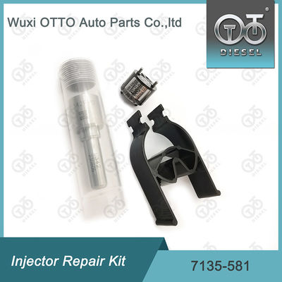 کیت تعمیر تزریق کننده  7135-581 برای R00101D PSA FORD DW10C