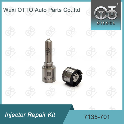 کیت شیر نوزل 7135-701 کیت تعمیر تزریق کننده دلفی برای تزریق کننده R00001D
