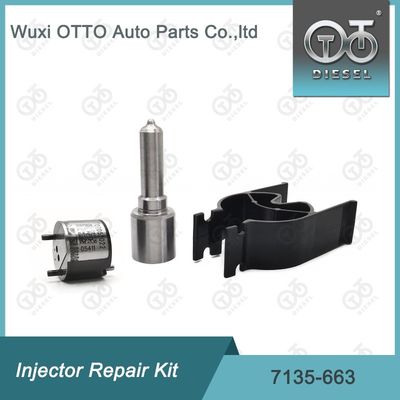 7135-663 کیت تعمیر تزریق کننده دلفی کیت نوزل-کلف کیت نوزل-CVA کیت