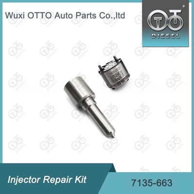 7135-663 کیت تعمیر تزریق کننده دلفی کیت نوزل-کلف کیت نوزل-CVA کیت