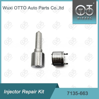 7135-663 کیت تعمیر تزریق کننده دلفی کیت نوزل-کلف کیت نوزل-CVA کیت