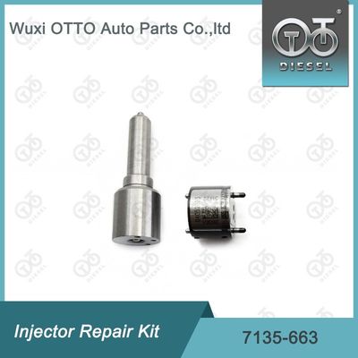 7135-663 کیت تعمیر تزریق کننده دلفی کیت نوزل-کلف کیت نوزل-CVA کیت