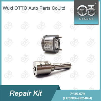 7135-579 Delphi Injector Repair Kit with L375PRD Nozzle and 28264094 Control Valve for Diesel Engines