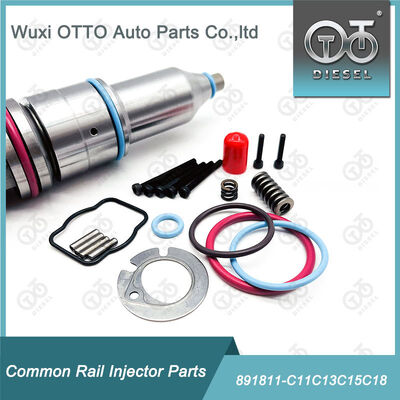 کیت تعمیر تزریق کننده سوخت 891811-C11c13c15c18 برای تزریق کننده سوخت سری C11 / C13 / 15 / 18