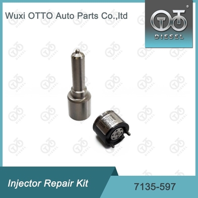 7135-597 کیت تعمیر تزریق کننده دلفی کیت نوزل-CVA کیت نوزل-کلف کیت